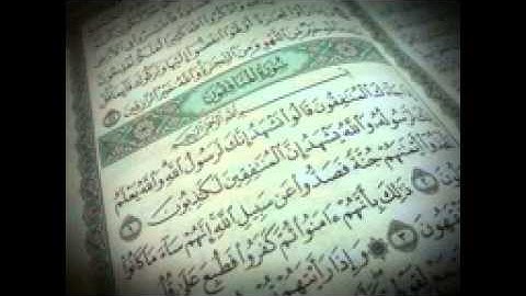 سورة المنافقون   القارئ معاذ الحجازي