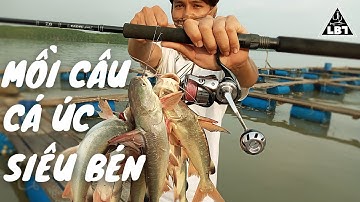 Câu Cá Úc Sông Thị Vải Cảng Cái Mép Bà Rịa Vũng Tàu l Mồi Câu Cá Úc Đặc Biệt Nhạy l Lưỡi Ba Tiêu