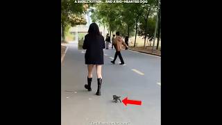 A Small Kitten And A Big Hearted Dog 🥺❤️|#shorts #catlovers #petlovers #cute #emotional