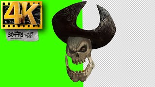Pirate Skull | Skeleton on Green Screen  - Footage 4K