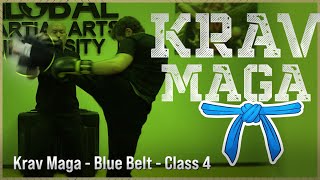 Krav Maga  - Blue - Class 4