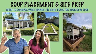 Video Chicken Live: Coop Placement & Prep: How to Find the Perfect Place for Your Coop: 4.22.2022