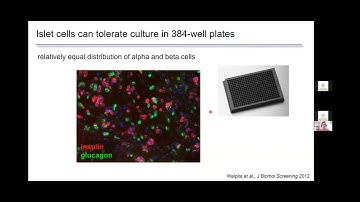 Webinar: From Donation to Automation The Ins and Outs of High Throughput Islet Cell Culture
