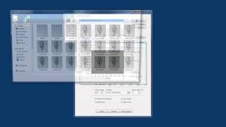 Octopus Reconstruction Introduction