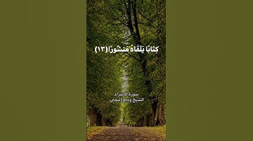 «وَكُلَّ إِنسَانٍ أَلْزَمْنَاهُ طَائِرَهُ فِي عُنُقِهِ ۖ ..» الشيخ وديع اليمني سورة الإسراء