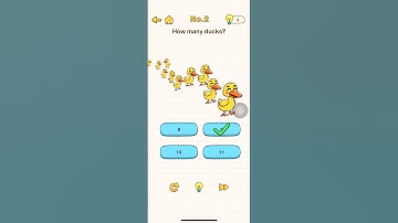 BrainOut : How Many Ducks?