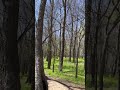 #outdoors