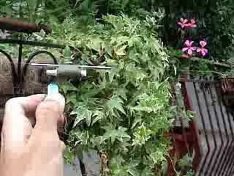 Match Head Rocket Motor