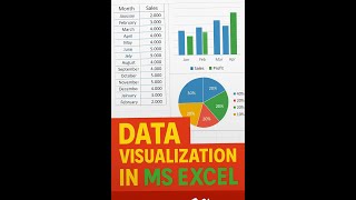 Excel Charts &amp; Graphs: Mastering Data Visualization