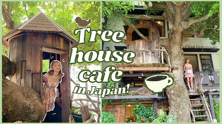 Tree House Cafe in Japan 🌿 - DayDayNews