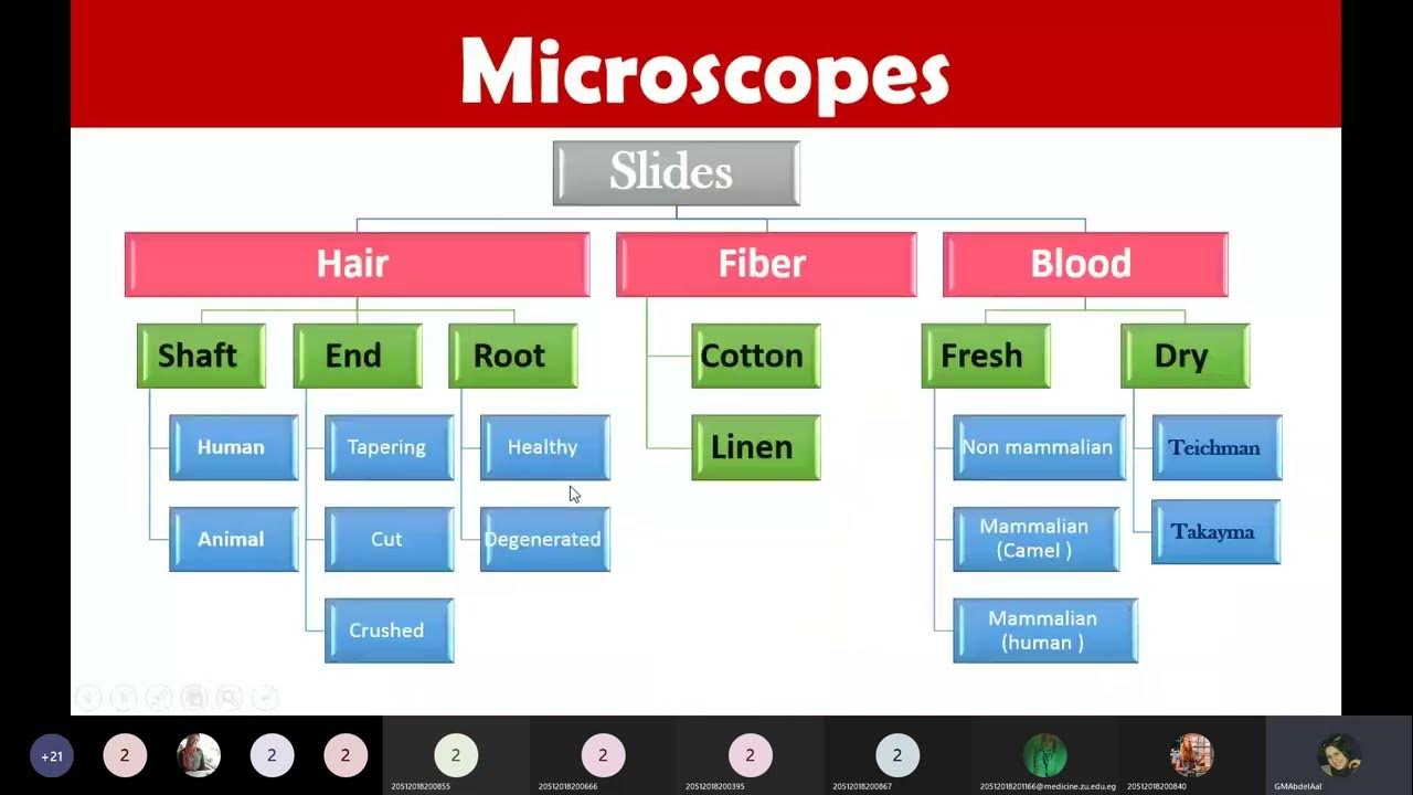 Forensic Identification 1 (Hair and Fibers Microscope) Dr. Ghadeer
