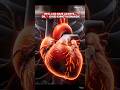 Shocking Heart Truths😳 |Apka Dil Khud Ek Little Brain Hai| #shorts #facts #heart #mindblowing #viral