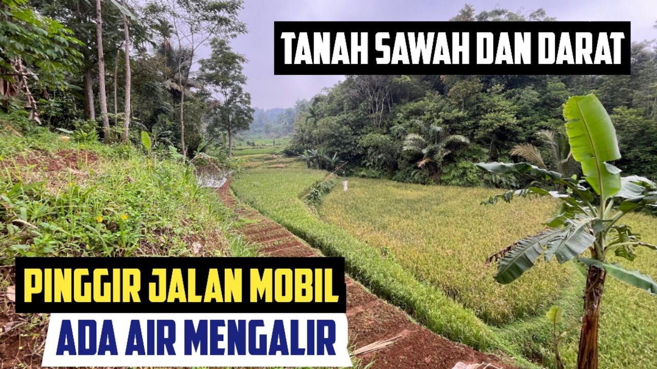 Tanah Darat dan Sawah Pinggjr Jalan Luas 2100 m2 Rp 630 Jt Daerah Dingin Wanayasa Bojong Purwakarta