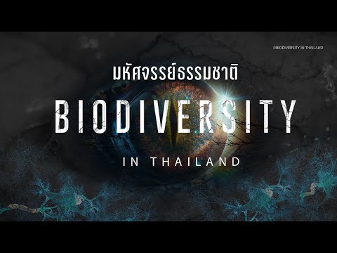 ตัวอย่างสารคดี Biodiversity in Thailand มหัศจรรย์ธรรมชาติ รับชมได้ทาง www.VIPA.me