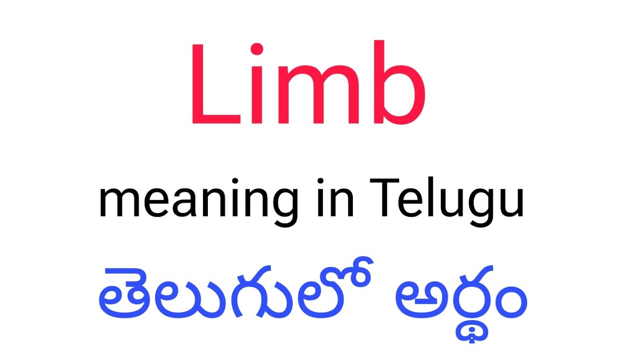 limb-meaning-in-telugu-limb-limb-telugu-meaning