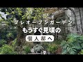 『マニア向け』個人邸のプレオープンガーデンへ