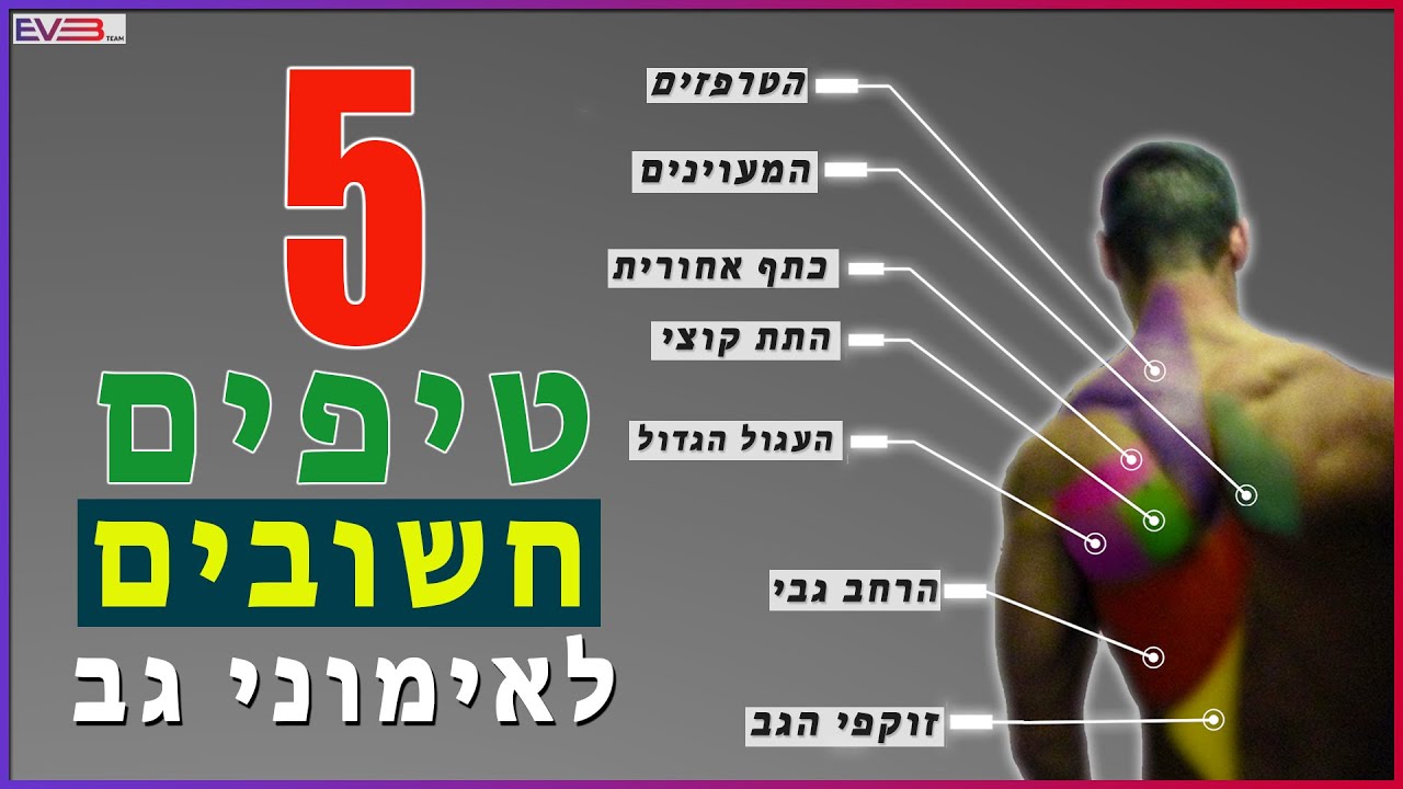 5-טיפים חשובים לאימוני גב | מדריך לפיתוח שרירי הגב - YouTube