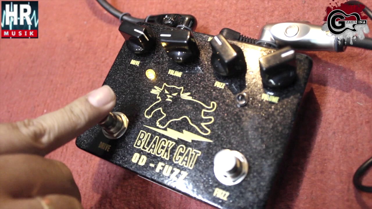 HARI-HARI MUSIK FX DEMO | Black Cat OD - Fuzz