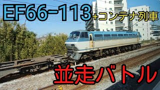 【今日の並走】EF66-113とコンテナ列車