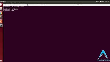 Passwordless sudo Terminal
