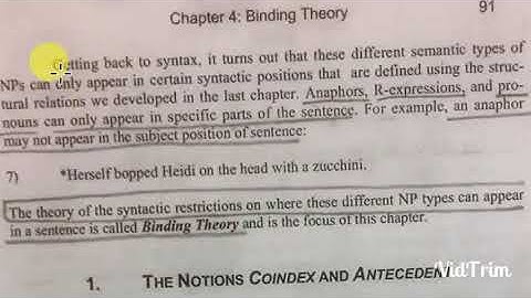 binding theory carni4