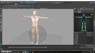 Human IK Rig Tutorial 02