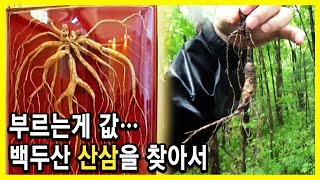 백두산 마지막 심마니의 보물찾기 (KBS_2018.09.15.방송)
