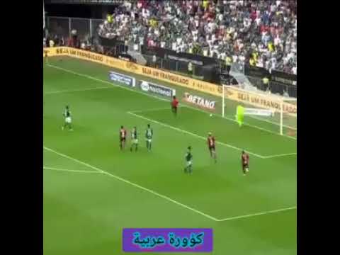 هدف فلامينغو اليوم ضد بالميراس كأس السوبر البرازيلي