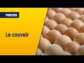 Prsentation dauvergne poussin  axral levage