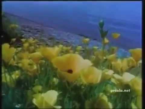 მცენარეების გამრავლება და ზრდა