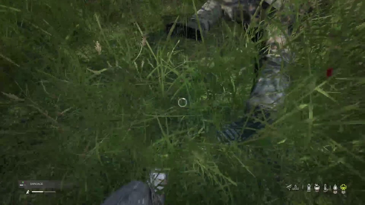 Surviving Livonia, Mid pop console#DayZ