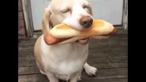 Wenn dich der Hunger packt