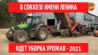 В Совхозе имени Ленина идет уборка и закладка урожая 2021