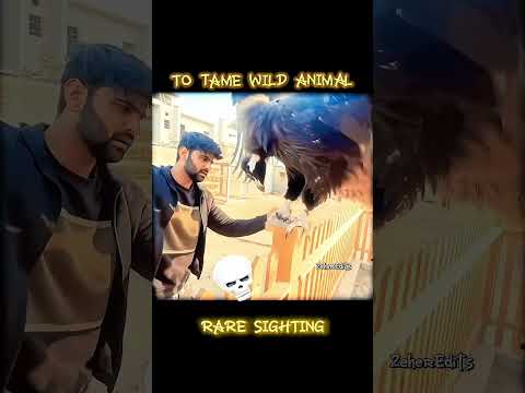 ||TURAB AND SIBTIN 😈|| SHORT VIDEO by zee⚕️