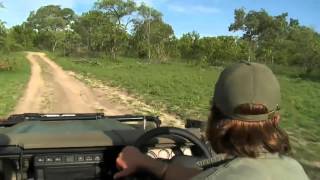 Sabi Sand Wild Safari Live Mar 27 2016 sunset screenshot 5