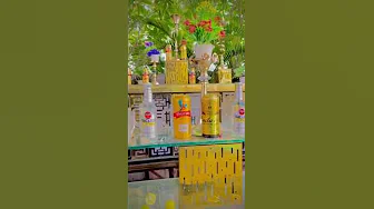 beer bar counter