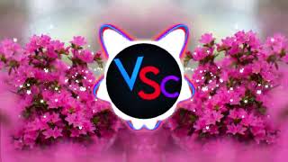 Justin Bieber - Daisies (NOTD Remix)