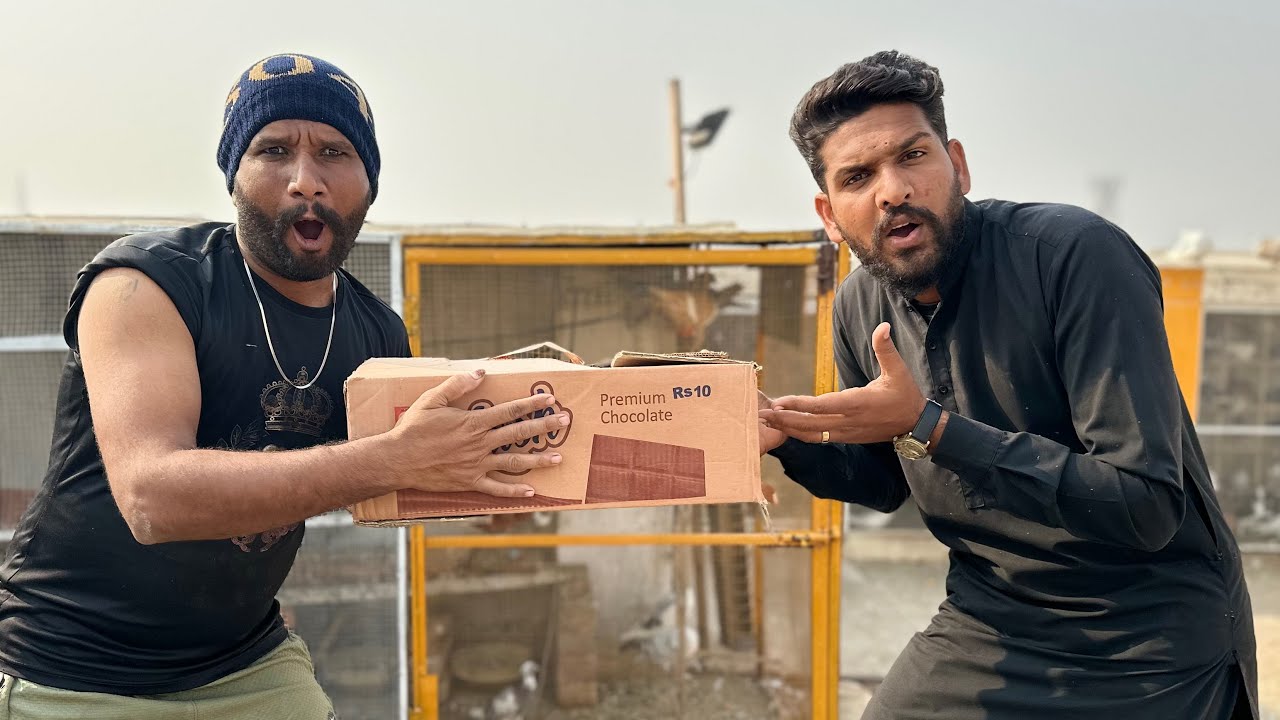 Aaj 3 lakh Kay kabutar khareed kar lay aye or 1 kabutar gir gya 😱😳