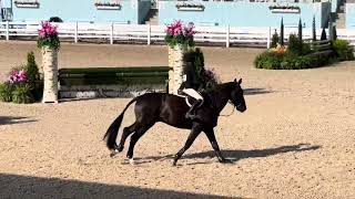 Maclay medal, Devon Horse Show