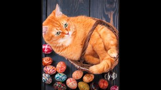 PUZZLE ABOUT FLUFFY CATS #5 screenshot 5