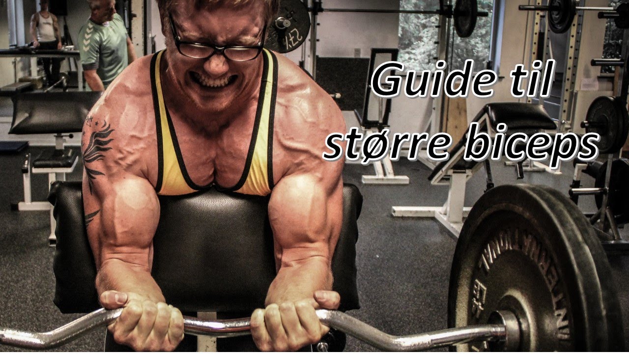 Guide til større biceps