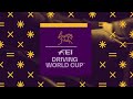 A fairytale finish for Bram Chardon!🧚🥇 | FEI Driving World Cup™ Leipzig 2024