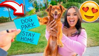 LETTING OUR PUPPY DECIDE HIS FUTURE!! *bad idea*