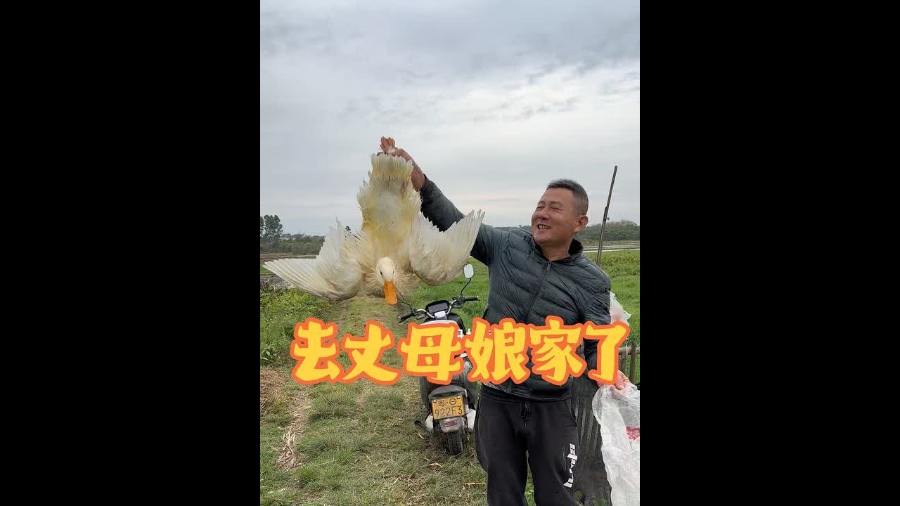 回娘家咯，抓一个我们养了一百多天鸭回去让家人偿一下味道。我们家老板还帮舅妈搭了一个大瓜棚，把舅妈都高兴得#真实记录生活 #回娘家的感觉真好