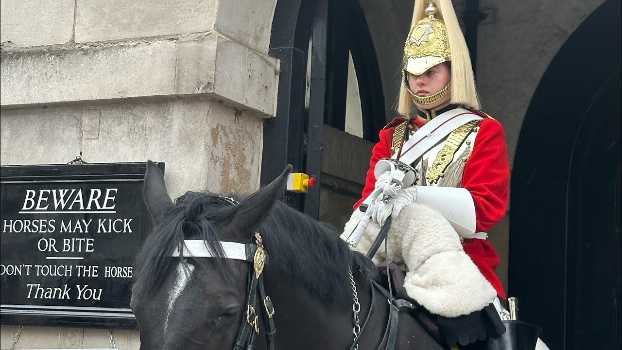 Horse & Guards  is live