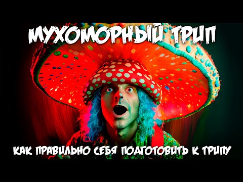 Мухоморный трип / Как правильно себя подготовить к трипу