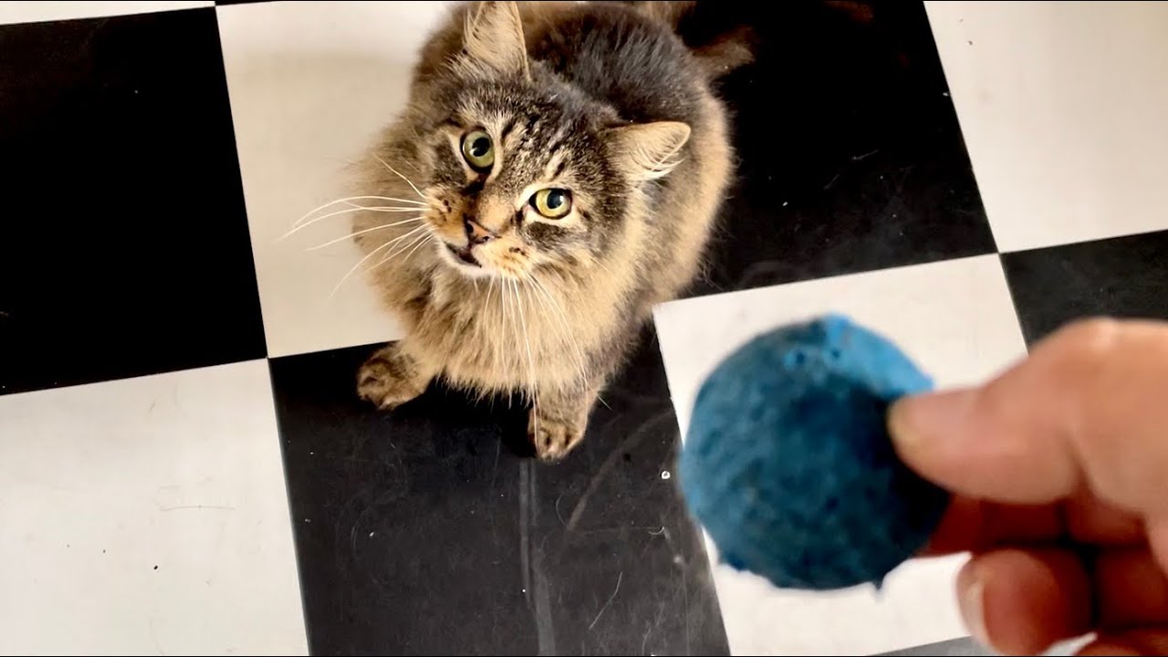 We understand each other