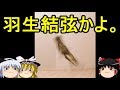 【おもしろゆっくり】ツイッター発!へたうまな猫の写真はどれ?登録者2万人記念号。