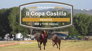 II Copa Castilla de regates 800 y 1100 metros, domingo 4 Junio 2023