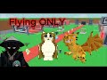 0 to 1 billion with only flying Brainrots (steal a brainrot) #roblox #stealabrainrot